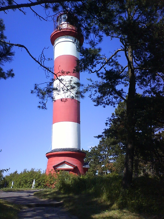 2009_LV_LT_SV_D 051